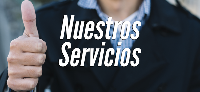 Nuestros Servicios